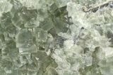 Green Cubic Fluorite Crystal Cluster on Matrix - China #372108-1